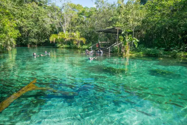 Confira passeios imperdíveis para o verão em Bonito (MS)