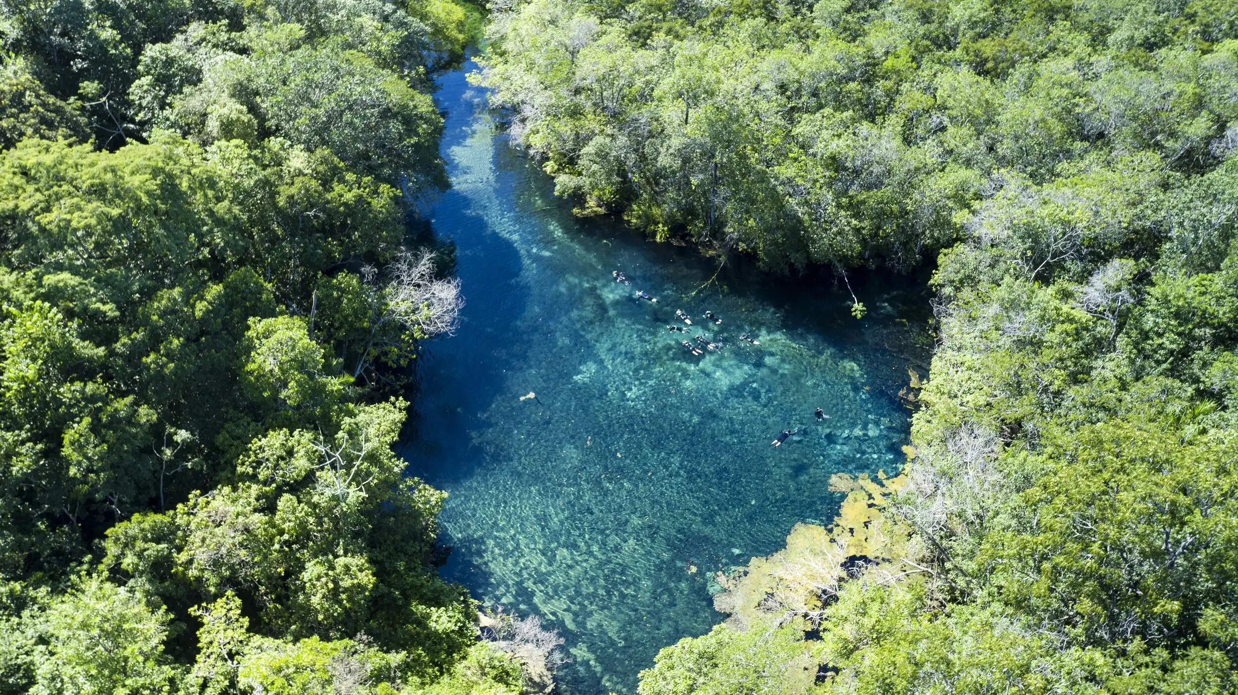 Pantanal e Bonito são opção de roteiro combinado para visitar o melhor do ecoturismo brasileiro