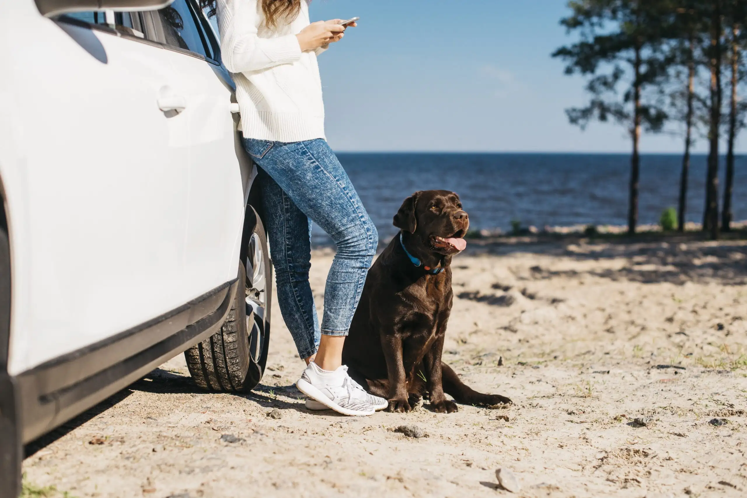 Vai viajar com seu pet?