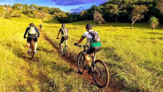 Explorando o Brasil: Roteiros Inesquecíveis para Viagens de Aventura