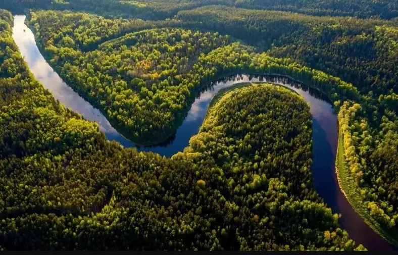 Aventura na Amazônia: Roteiros de Ecoturismo na Floresta